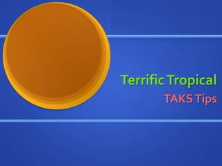 Terrific Tropical TAKS Tips 