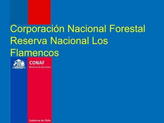 Corporación Nacional Forestal
Reserva Nacional Los
Flamencos
 