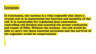 Conclusion:
In Conclusion, the nucleus is a vital organelle that plays a
crucial role in in maintaining the function and integrity of the
cell. It is responsible for regulating gene expression,
controlling cell division and ensuring the proper replication
and repair of DNA. Without the nucleus , the cell would be
able to carry out these essential processes and the survival of
the organism would be compromised.
 