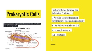 Prokaryotic Cells
Prokaryotes are organisms whose cells lack a nucleus
and other organelles
Prokaryotic cells have the
following features :-
1. No well defined nuclear
membrane , nucleolus is absent
2. No Mitochondria or E.R
3. 1-10 micrometer
E.g- Bacteria
 