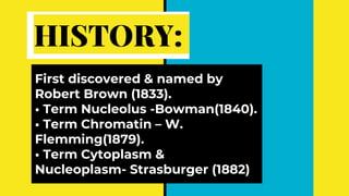 HISTORY:
First discovered & named by
Robert Brown (1833).
• Term Nucleolus -Bowman(1840).
• Term Chromatin – W.
Flemming(1879).
• Term Cytoplasm &
Nucleoplasm- Strasburger (1882)
 