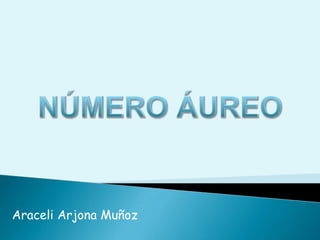 NÚMERO ÁUREO Araceli Arjona Muñoz 