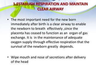 1.ESTABLISH RESPIRATION AND MAINTAIN
CLEAR AIRWAY
• The most important need for the new born
immediately after birth is a clear airway to enable
the newborn to breath effectively ,since the
placenta has ceased to function as an organ of gas
exchange. It is in the maintenance of adequate
oxygen supply through effective respiration that the
survival of the newborn greatly depends.
• Wipe mouth and nose of secretions after delivery
of the head
 