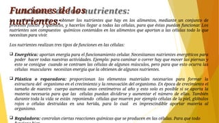 Funciones de los
nutrientes:
La nutrición consiste en obtener los nutrientes que hay en los alimentos, mediante un conjunto de
procesos físicos y químicos, y hacerlos llegar a todas las células, para que éstas puedan funcionar. Los
nutrientes son compuestos químicos contenidos en los alimentos que aportan a las células todo lo que
necesitan para vivir.
Los nutrientes realizan tres tipos de funciones en las células:
 Energética: aportan energía para el funcionamiento celular. Necesitamos nutrientes energéticos para
poder hacer todas nuestras actividades. Ejemplo: para caminar o correr hay que mover las piernas y
esto se consigue cuando se contraen las células de algunos músculos, pero para que esto ocurra las
células musculares necesitan energía que la obtienen de algunos nutrientes.
 Plástica o reparadora: proporcionan los elementos materiales necesarios para formar la
estructura del organismo en el crecimiento y la renovación del organismo. En época de crecimiento el
tamaño de nuestro cuerpo aumenta unos centímetros al año y esto solo es posible si se aporta la
materia necesaria para que las células puedan dividirse y aumentar el número de ellas. También
durante toda la vida se están reponiendo células que mueren por ejemplo células de la piel, glóbulos
rojos o células destruidas en una herida, para lo cual es imprescindible aportar materia al
organismo.
 Reguladora: controlan ciertas reacciones químicas que se producen en las células. Para que todo
 