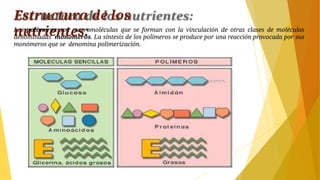 Estructura de los
nutrientes:
Los polímeros son macromoléculas que se forman con la vinculación de otras clases de moléculas
denominadas monómeros. La síntesis de los polímeros se produce por una reacción provocada por sus
monómeros que se denomina polimerización.
 