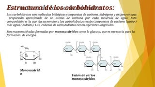 Estructura de los carbohidratos:
Los carbohidratos son moléculas biológicas compuestas de carbono, hidrógeno y oxígeno en una
proporción aproximada de un átomo de carbono por cada molécula de agua. Esta
composición es la que da su nombre a los carbohidratos: están compuestos de carbono (carbo-)
más agua (-hidrato). Las cadenas de carbohidratos tienen diferentes longitudes.
Son macromoléculas formadas por monosacáridos como la glucosa, que es necesaria para la
formación de energía.
Monosacárid
o
Unión de varios
monosacáridos
 