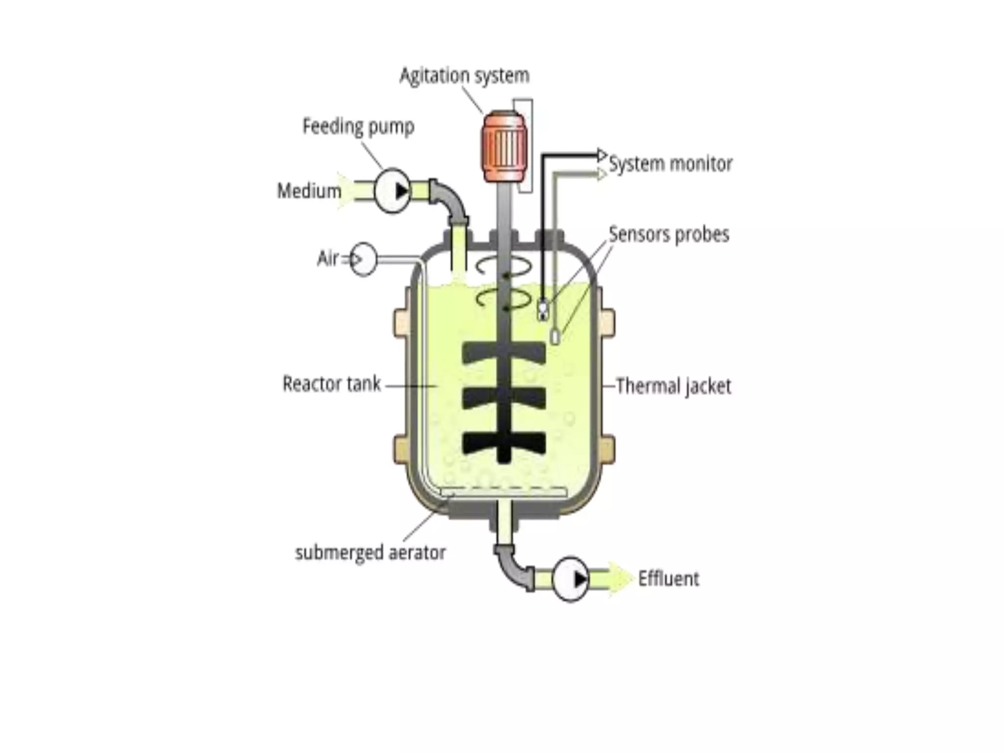 FERMENTATION TYPES .