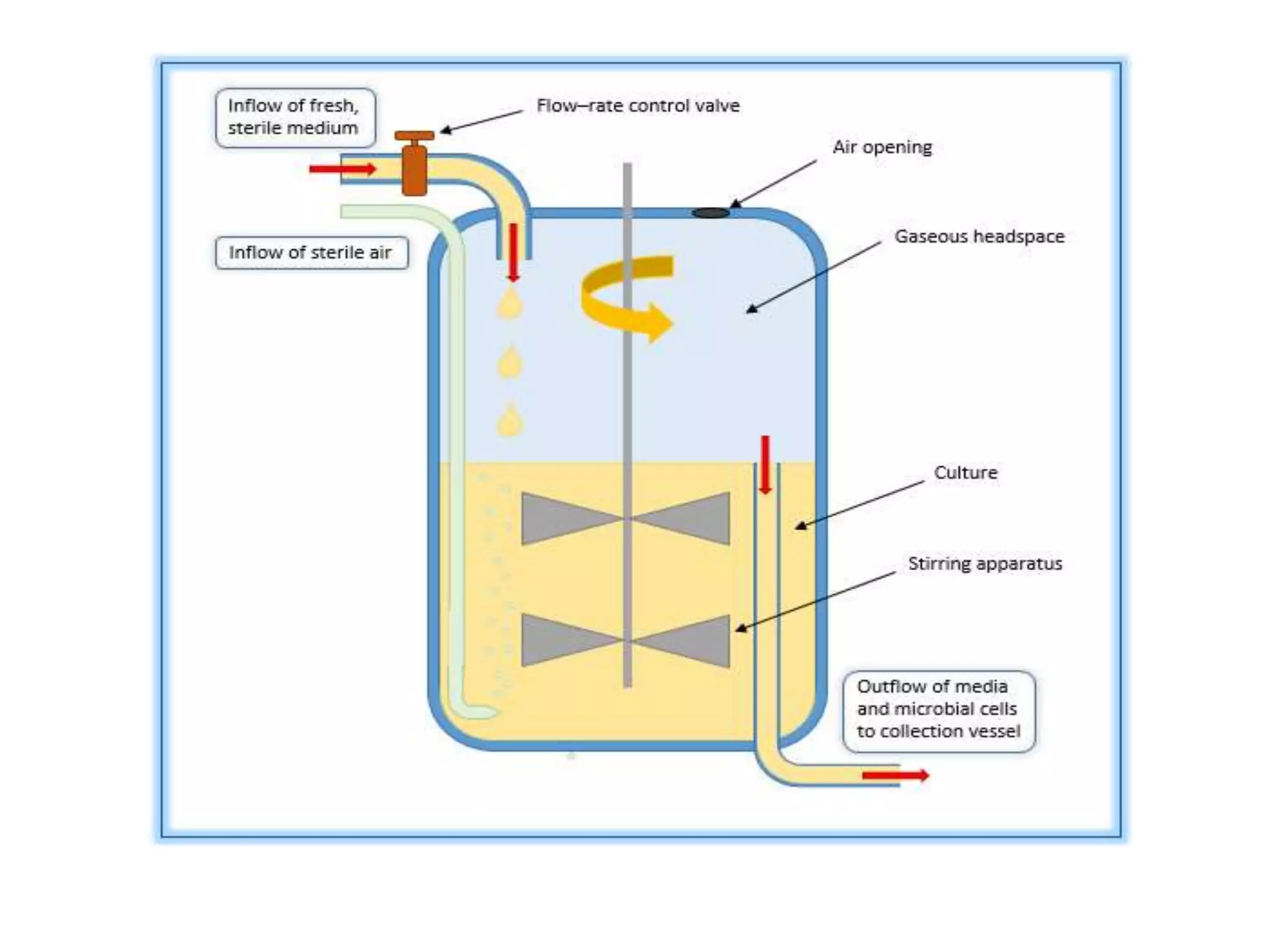 FERMENTATION TYPES .