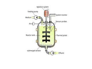 FERMENTATION TYPES .