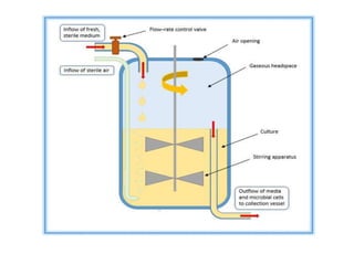 FERMENTATION TYPES .