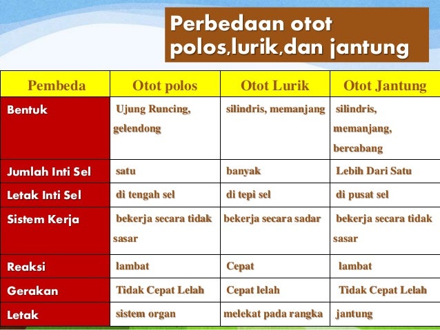 Persamaan otot polos dan otot jantung