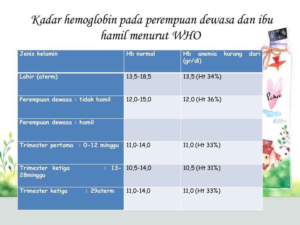 Patofisiologi Anemia Pada Ibu Hamil