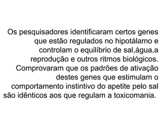 Os pesquisadores identificaram certos genes
         que estão regulados no hipotálamo e
           controlam o equilíbrio de sal,água,a
        reprodução e outros ritmos biológicos.
   Comprovaram que os padrões de ativação
                destes genes que estimulam o
  comportamento instintivo do apetite pelo sal
são idênticos aos que regulam a toxicomania.
 