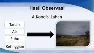 Hasil Observasi
              A.Kondisi Lahan
 Tanah
   Air
  Suhu
Ketinggian
 