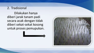 2. Tradisional
     Dilakukan hanya
diberi jarak tanam padi
secara acak dengan tidak
diberi sekat-sekat kosong
untuk proses pemupukan.
 