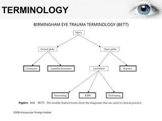 Betts Classification ppt ocular trauma cedera pada mata ppt.pptx