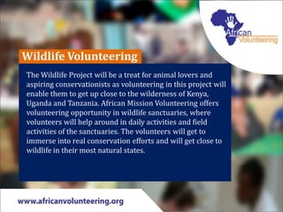 Wildlife Volunteering
The Wildlife Project will be a treat for animal lovers and
aspiring conservationists as volunteering in this project will
enable them to get up close to the wilderness of Kenya,
Uganda and Tanzania. African Mission Volunteering offers
volunteering opportunity in wildlife sanctuaries, where
volunteers will help around in daily activities and field
activities of the sanctuaries. The volunteers will get to
immerse into real conservation efforts and will get close to
wildlife in their most natural states.
 