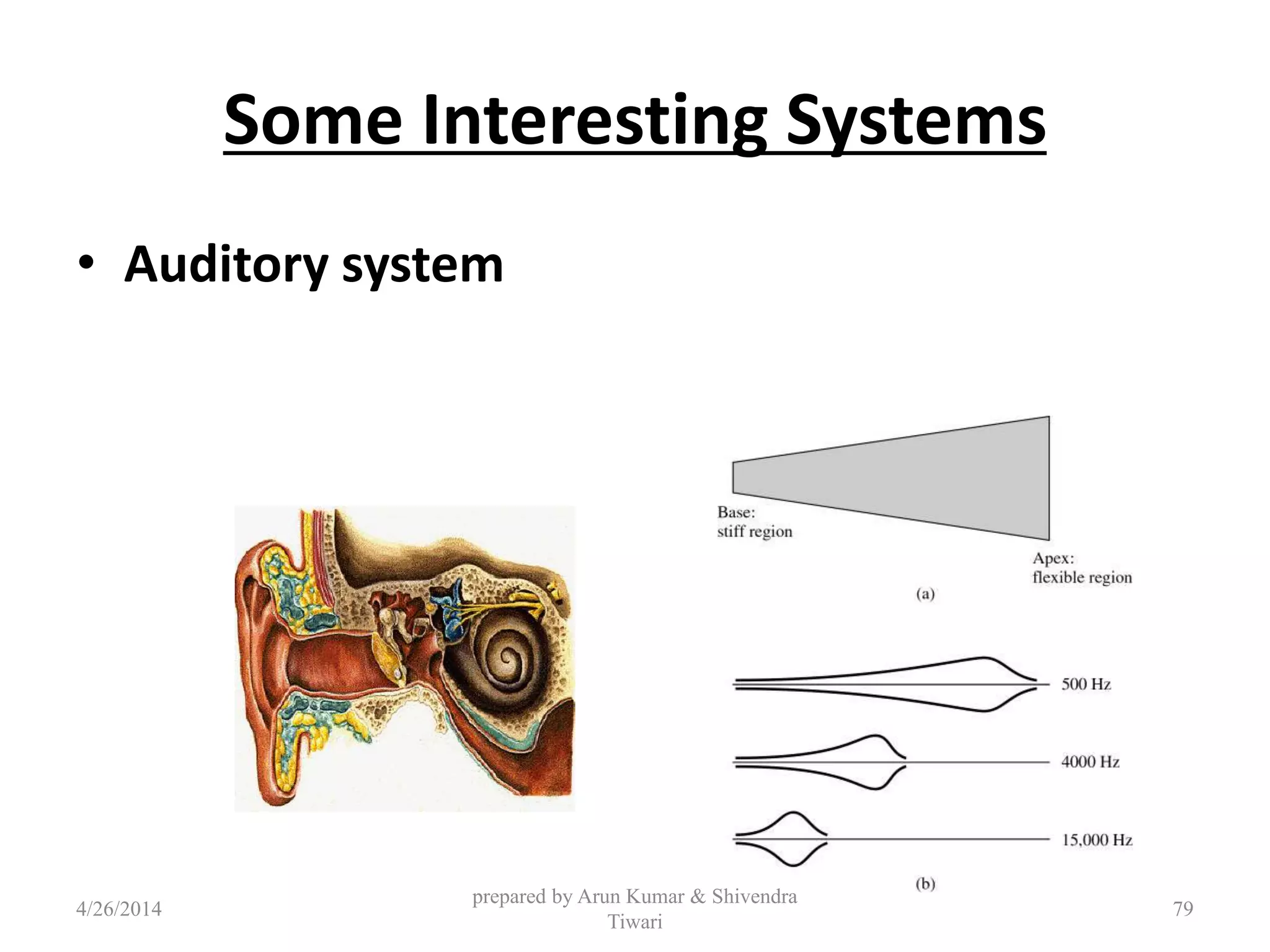 Some Interesting Systems
• Auditory system
4/26/2014
prepared by Arun Kumar & Shivendra
Tiwari
79
 