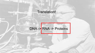 Translation!
DNA -> RNA -> Proteins
 
