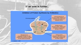 If we zoom in further…
 