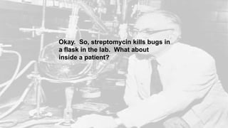 Okay. So, streptomycin kills bugs in
a flask in the lab. What about
inside a patient?
 