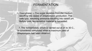FERMENTATION
• Third phase: -- The sugar depletes from the medium
resulting into cease of streptomycin production. The
cells lyse, releasing ammonia resulting into raised pH.
Before lysis, fermentative material is harvested.
7. The fermentation, which is carried out at 25 to 30 C.,
is considered completed when a maximum yield of
streptomycin has been obtained.
 