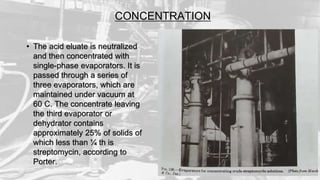 CONCENTRATION
• The acid eluate is neutralized
and then concentrated with
single-phase evaporators. It is
passed through a series of
three evaporators, which are
maintained under vacuum at
60 C. The concentrate leaving
the third evaporator or
dehydrator contains
approximately 25% of solids of
which less than ¼ th is
streptomycin, according to
Porter.
 