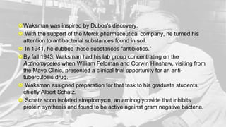 Waksman was inspired by Dubos's discovery.
With the support of the Merck pharmaceutical company, he turned his
attention to antibacterial substances found in soil.
In 1941, he dubbed these substances "antibiotics.”
By fall 1943, Waksman had his lab group concentrating on the
Actinomycetes when William Feldman and Corwin Hinshaw, visiting from
the Mayo Clinic, presented a clinical trial opportunity for an anti-
tuberculosis drug.
Waksman assigned preparation for that task to his graduate students,
chiefly Albert Schatz.
Schatz soon isolated streptomycin, an aminoglycoside that inhibits
protein synthesis and found to be active against gram negative bacteria.
 