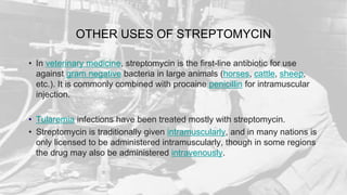 OTHER USES OF STREPTOMYCIN
• In veterinary medicine, streptomycin is the first-line antibiotic for use
against gram negative bacteria in large animals (horses, cattle, sheep,
etc.). It is commonly combined with procaine penicillin for intramuscular
injection.
• Tularemia infections have been treated mostly with streptomycin.
• Streptomycin is traditionally given intramuscularly, and in many nations is
only licensed to be administered intramuscularly, though in some regions
the drug may also be administered intravenously.
 