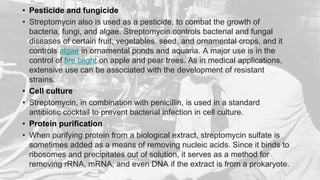 • Pesticide and fungicide
• Streptomycin also is used as a pesticide, to combat the growth of
bacteria, fungi, and algae. Streptomycin controls bacterial and fungal
diseases of certain fruit, vegetables, seed, and ornamental crops, and it
controls algae in ornamental ponds and aquaria. A major use is in the
control of fire blight on apple and pear trees. As in medical applications,
extensive use can be associated with the development of resistant
strains.
• Cell culture
• Streptomycin, in combination with penicillin, is used in a standard
antibiotic cocktail to prevent bacterial infection in cell culture.
• Protein purification
• When purifying protein from a biological extract, streptomycin sulfate is
sometimes added as a means of removing nucleic acids. Since it binds to
ribosomes and precipitates out of solution, it serves as a method for
removing rRNA, mRNA, and even DNA if the extract is from a prokaryote.
 
