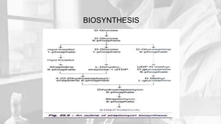 BIOSYNTHESIS
 