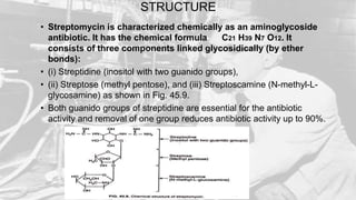 STRUCTURE
• Streptomycin is characterized chemically as an aminoglycoside
antibiotic. It has the chemical formula C21 H39 N7 O12. It
consists of three components linked glycosidically (by ether
bonds):
• (i) Streptidine (inositol with two guanido groups),
• (ii) Streptose (methyl pentose), and (iii) Streptoscamine (N-methyl-L-
glycosamine) as shown in Fig. 45.9.
• Both guanido groups of streptidine are essential for the antibiotic
activity and removal of one group reduces antibiotic activity up to 90%.
 
