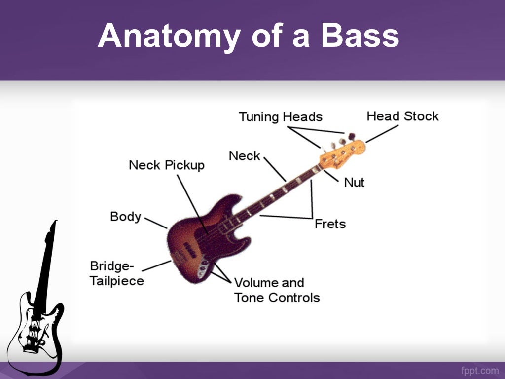 Best Bass Guitar Lessons and Guitar Lessons in Lafayette Coppt