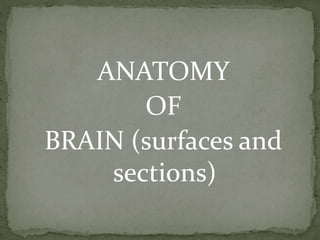ANATOMY
OF
BRAIN (surfaces and
sections)
 