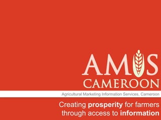 Creating prosperity for farmers
through access to information
Agricultural Marketing Information Services, Cameroon
 