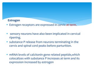 Molecular Mechanism of Cervical Ripening | PPTX