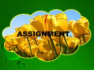 ASSIGNMENT
 