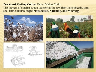 Fibre to fabric of class 6 | PPTX