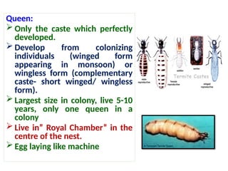 ppt on insect pest of field crops and their management | PPTX