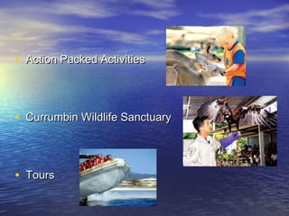 • Action Packed ActivitiesAction Packed Activities
• Currumbin Wildlife SanctuaryCurrumbin Wildlife Sanctuary
• ToursTours
 