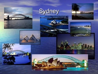 SydneySydney
 