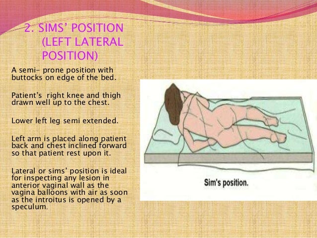 lateral position definition barca fontanacountryinn com lateral position definition