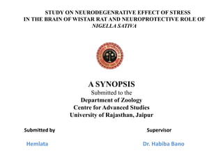 STUDY ON NEURODEGENRATIVE EFFECT OF STRESS
IN THE BRAIN OF WISTAR RAT AND NEUROPROTECTIVE ROLE OF
NIGELLA SATIVA
A SYNOPSIS
Submitted to the
Department of Zoology
Centre for Advanced Studies
University of Rajasthan, Jaipur
Submitted by Supervisor
Hemlata Dr. Habiba Bano
 