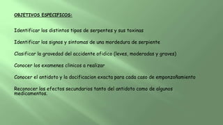 OBJETIVOS ESPECIFICOS:
Identificar los distintos tipos de serpentes y sus toxinas
Identificar los signos y sintomas de una mordedura de serpiente
Clasificar la gravedad del accidente ofidico (leves, moderadas y graves)
Conocer los examenes clinicos a realizar
Conocer el antidoto y la docificacion exacta para cada caso de emponzoñamiento
Reconocer los efectos secundarios tanto del antidoto como de algunos
medicamentos.
 