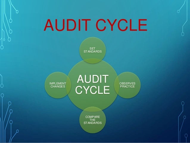 nursing home audits