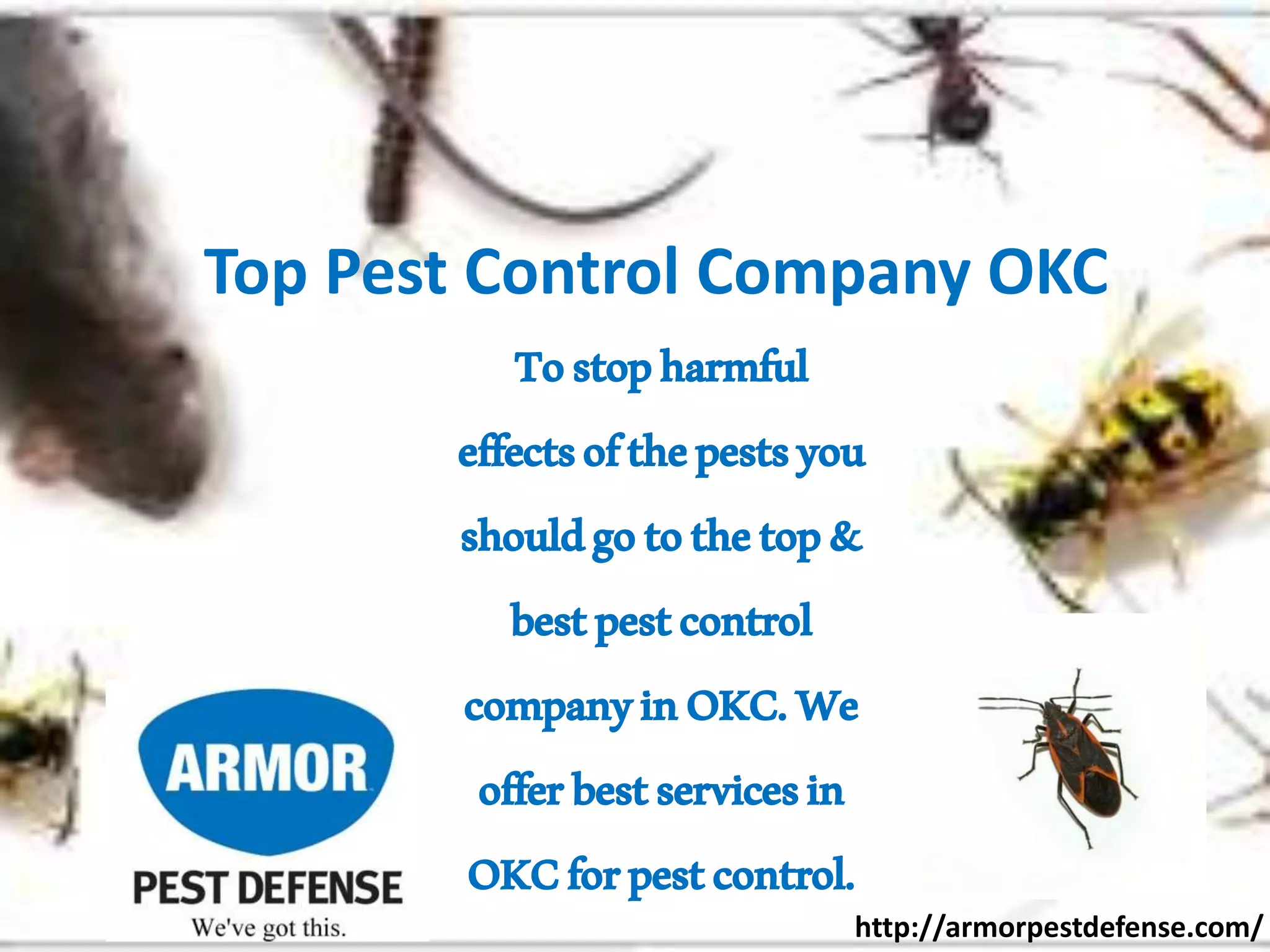 Ppt of pest control denver