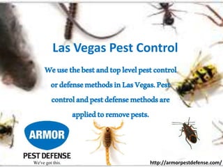 Las Vegas Pest Control
Weusethebestandtoplevelpestcontrol
ordefensemethodsinLasVegas.Pest
controlandpestdefensemethodsare
appliedtoremovepests.
http://armorpestdefense.com/
 