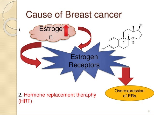 Role of Phytoestrogens in Breast Cancer