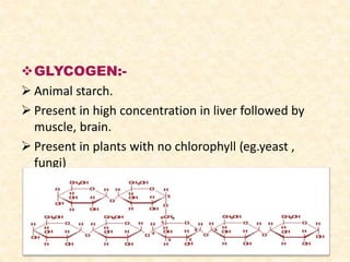 GLYCOGEN:-
 Animal starch.
 Present in high concentration in liver followed by
muscle, brain.
 Present in plants with no chlorophyll (eg.yeast ,
fungi)
 