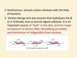  Herbivorous animals utilise cellulose with the help
of bacteria.
 Human beings lack any enzyme that hydrolyzes the β
(1→ 4) bonds, and so cannot digest cellulose. It is an
important source of "bulk" in the diet, and the major
component of dietary fiber stimulating peristalsis
and elimination of indigestible food residues.
 
